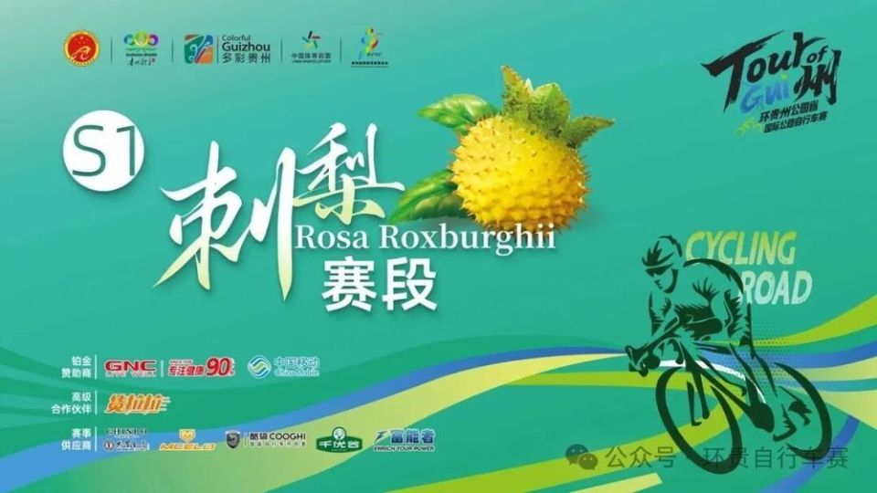 参赛车队亮 参赛车队亮